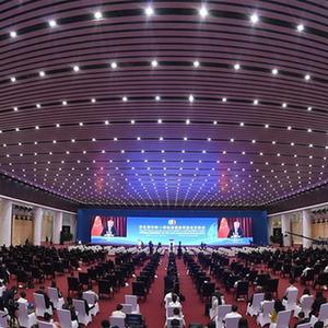 （新华全媒头条&middot;图文互动）（1）疫情之下，中阿携手为全球发展注入新动力&mdash;&mdash;写在第五届中阿博览会开幕之际