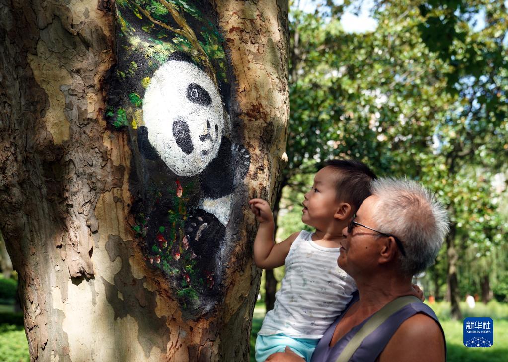 游园新体验！上海：创意养护美化树洞