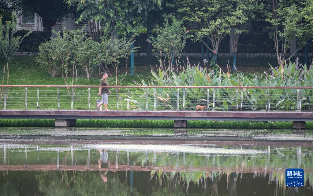 开放！重庆南岸：苦竹溪生态修复显成效