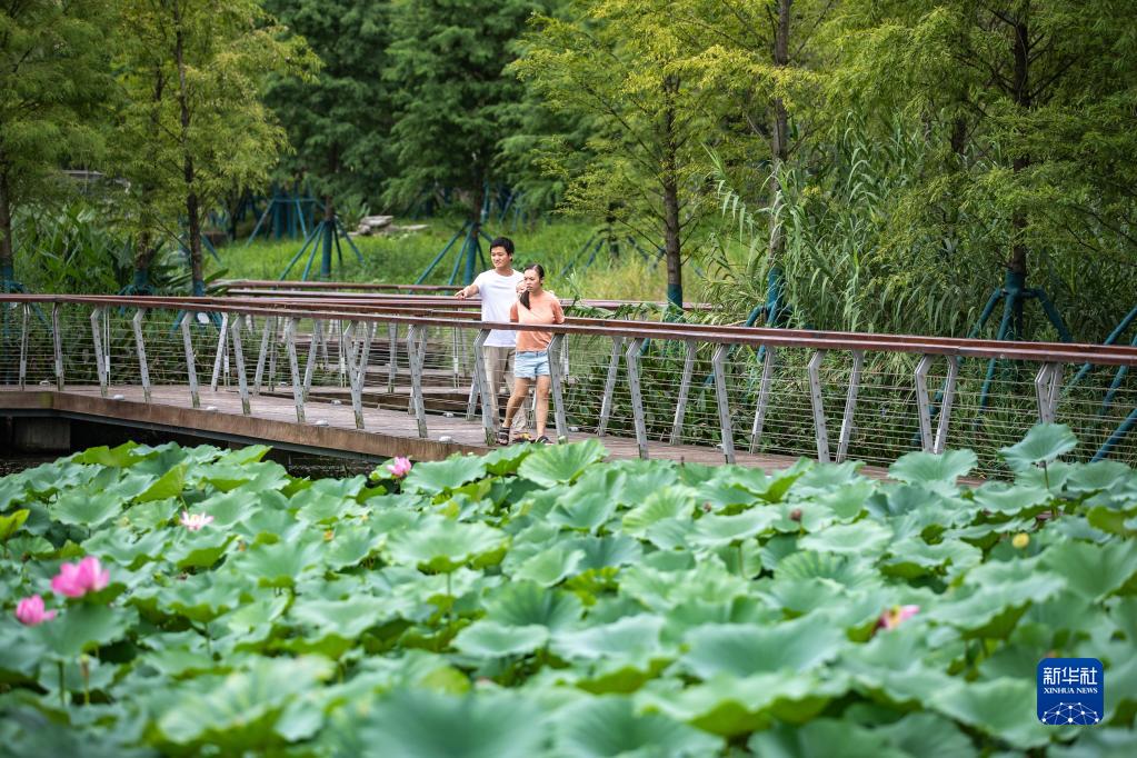 开放！重庆南岸：苦竹溪生态修复显成效