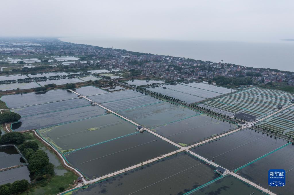 浙江湖州：推进特色生态水产养殖 助力百姓增收
