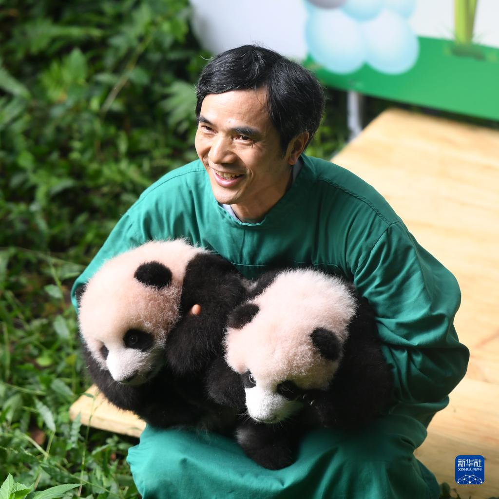 重庆动物园举行大熊猫双胞胎满百天征名活动 健康状况良好