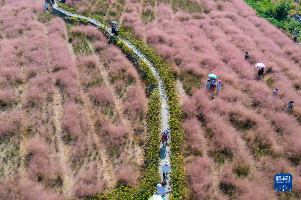 浙江杭州：江南古镇开启金秋庙会