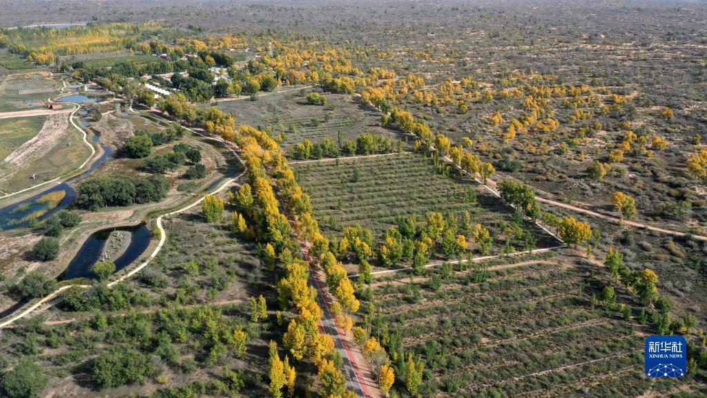 宁夏：秋染哈巴湖