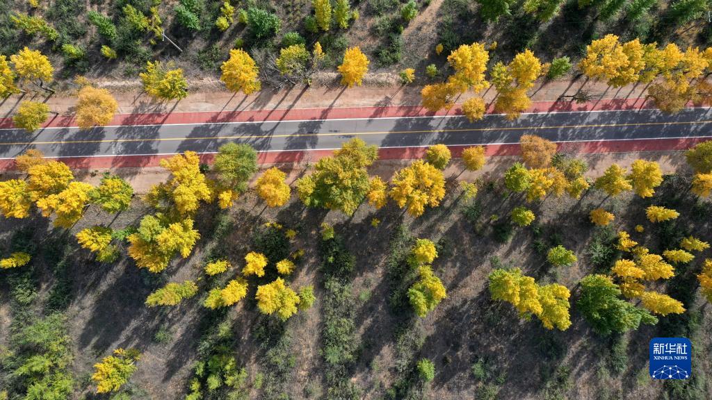 宁夏：秋染哈巴湖