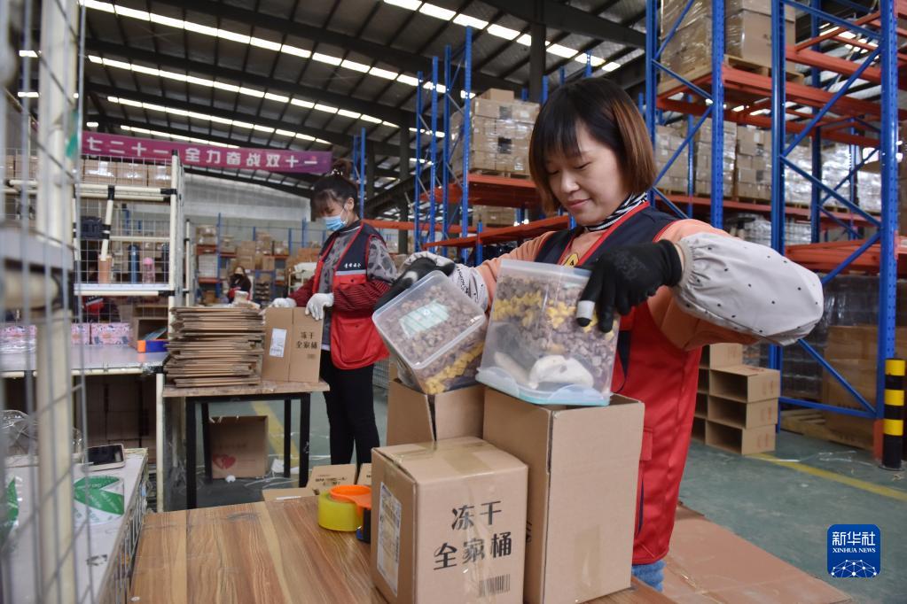 新活力！河北邢台：宠物产业“线上经济”觅商机