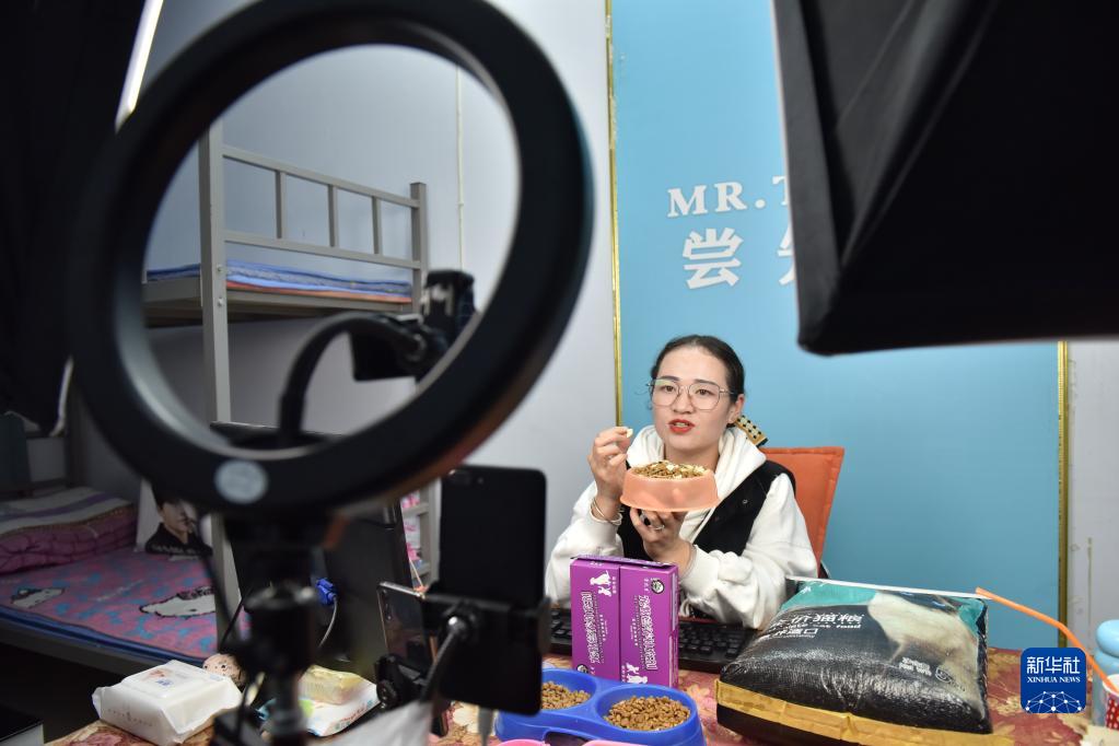 新活力！河北邢台：宠物产业“线上经济”觅商机