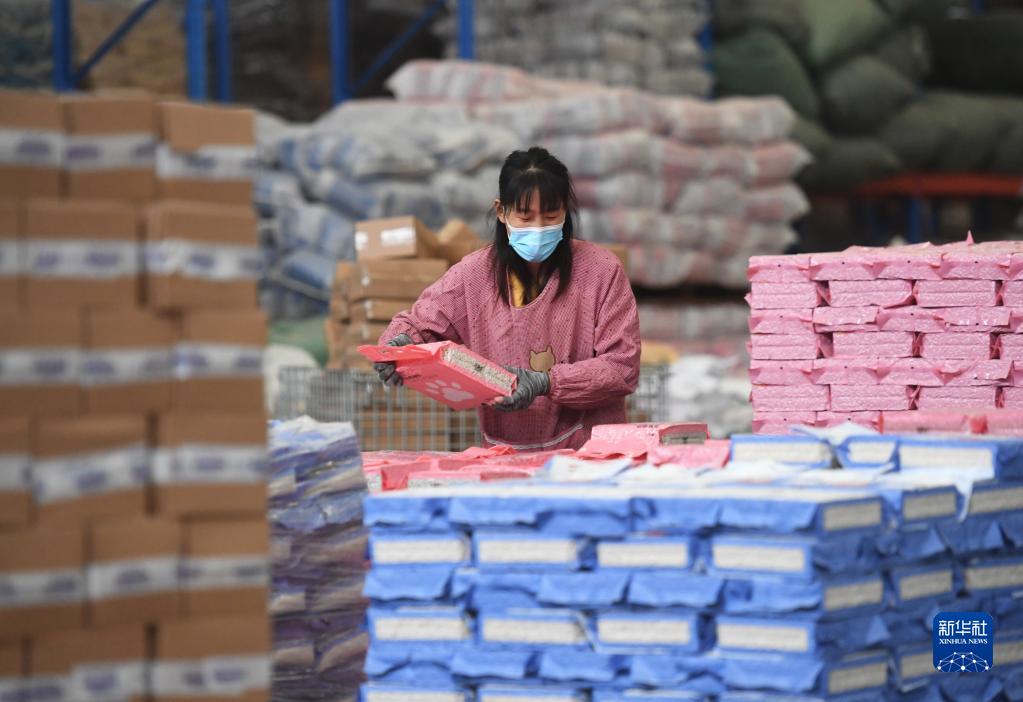 新活力！河北邢台：宠物产业“线上经济”觅商机