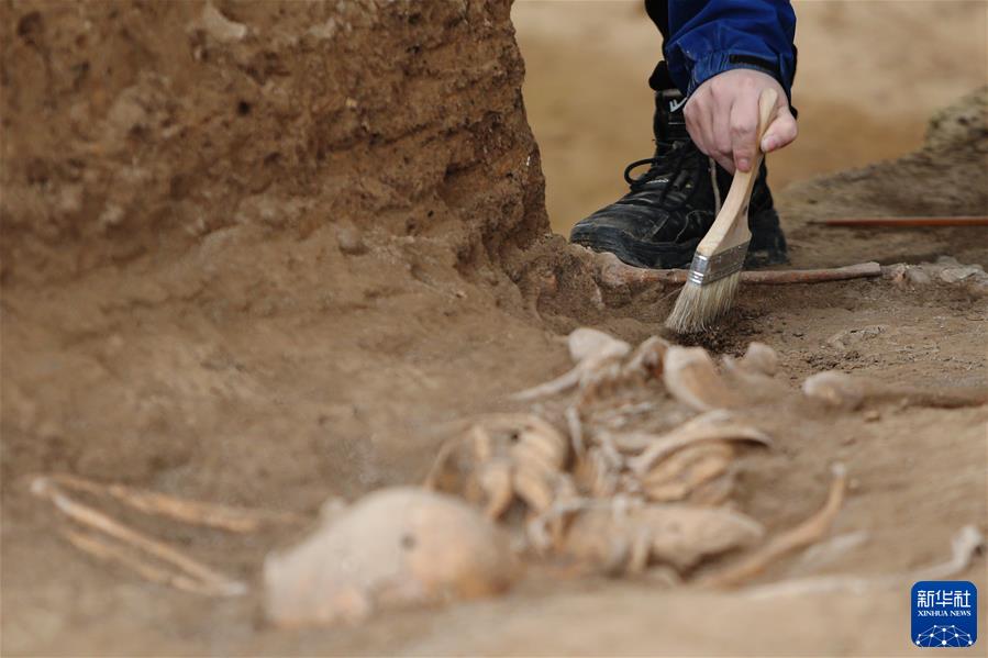 （镜观中国&middot;新华社国内新闻照片一周精选）（11）探秘仰韶村遗址