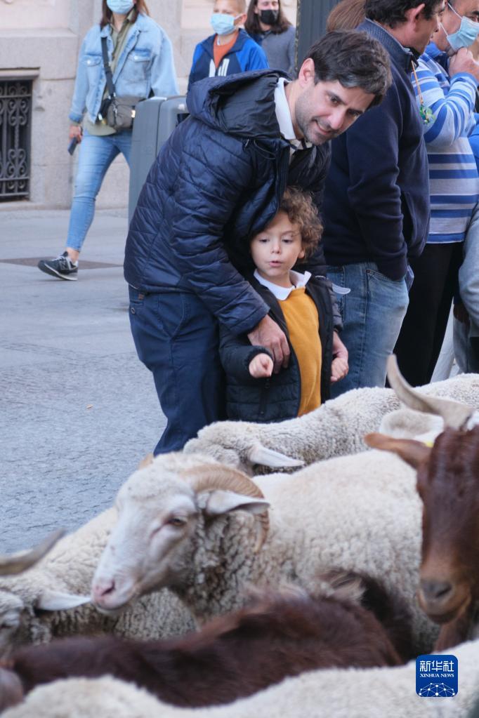 西班牙：移牧节在马德里举行
