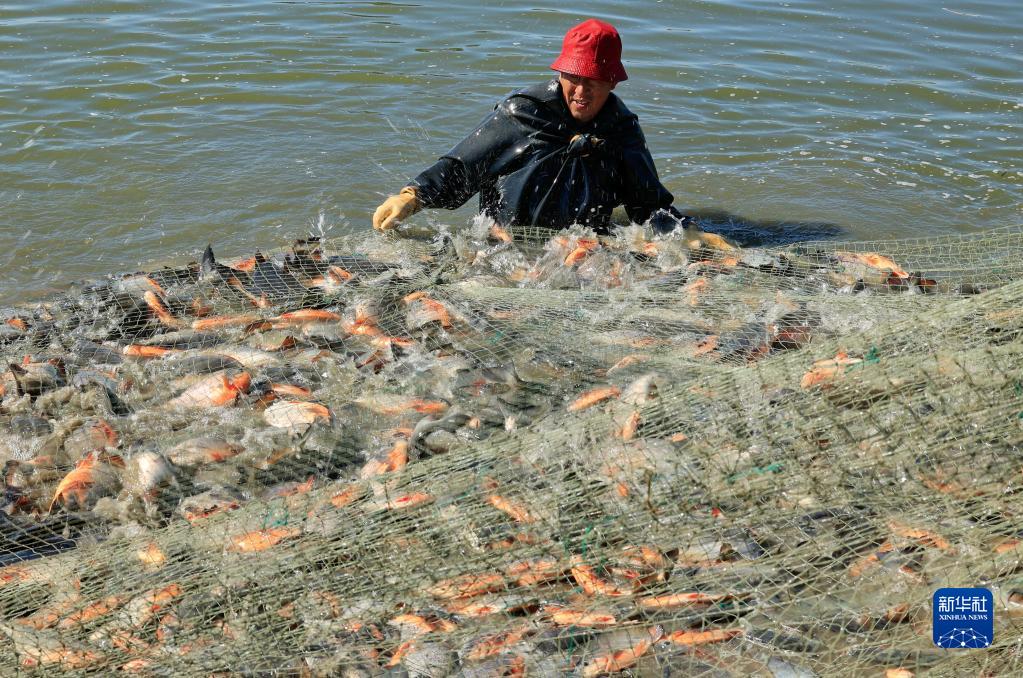 河北丰南：生态水产养殖助增收