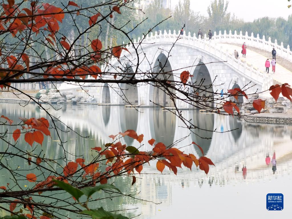 秋染京城 景色如画
