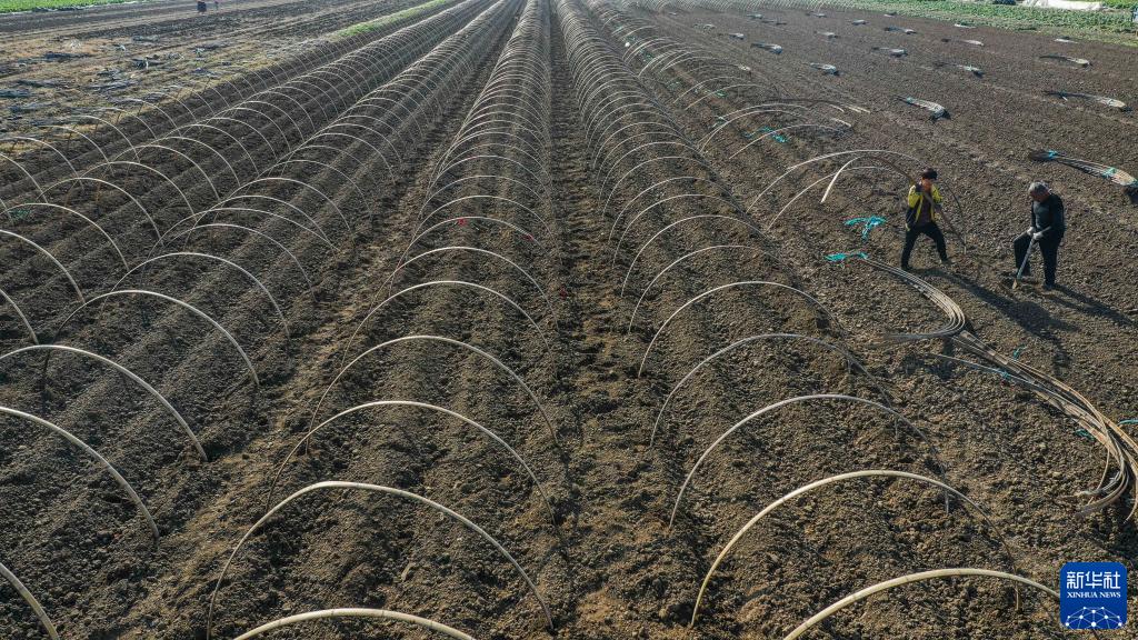 河北玉田：初冬搭建春季马铃薯暖棚忙