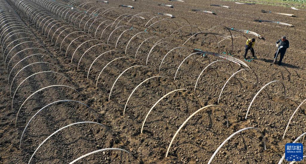 河北玉田：初冬搭建春季马铃薯暖棚忙