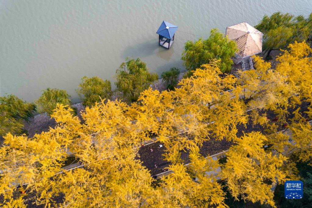 色彩斑斓 美景如画