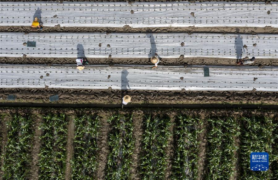 （新华全媒头条&middot;图文互动）（5）边城大考&mdash;&mdash;云南瑞丽战&ldquo;疫&rdquo;纪实