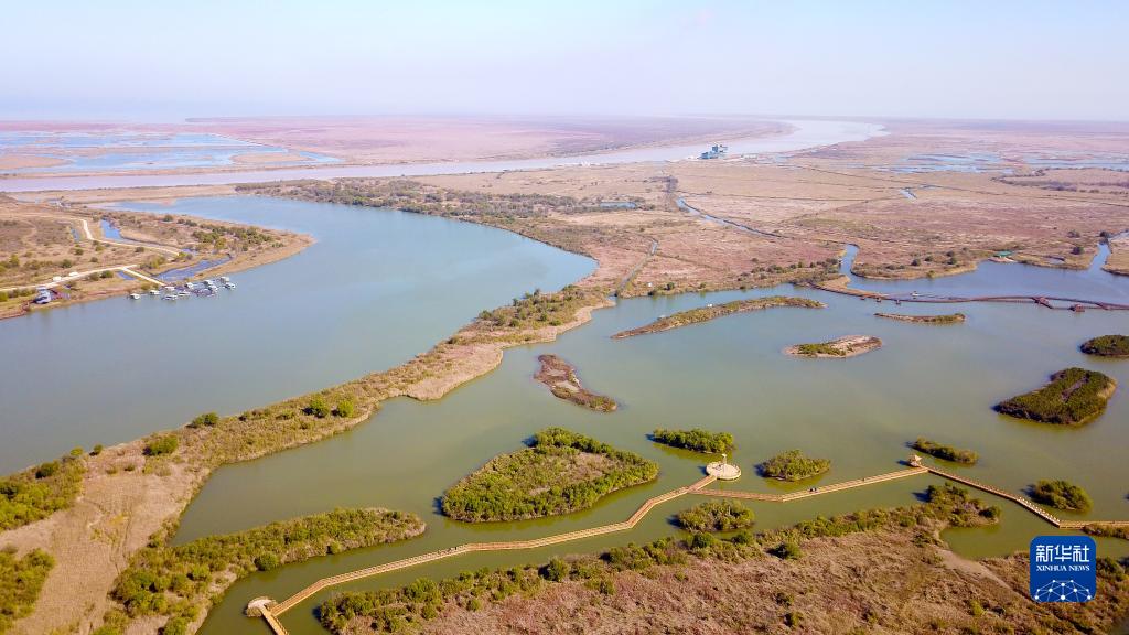 给力！山东黄河三角洲4年修复湿地面积1.88万公顷