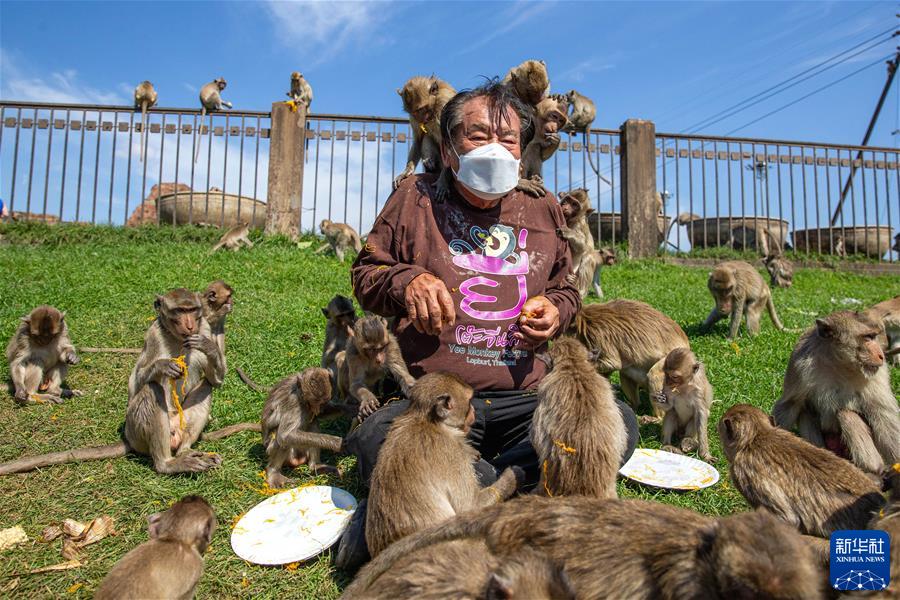 （國際·一周看天下）泰國：猴子享用自助餐