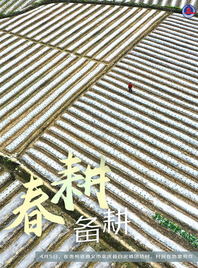 （图表&middot;海报）［新华全媒+］春耕备耕 不误农时（5）