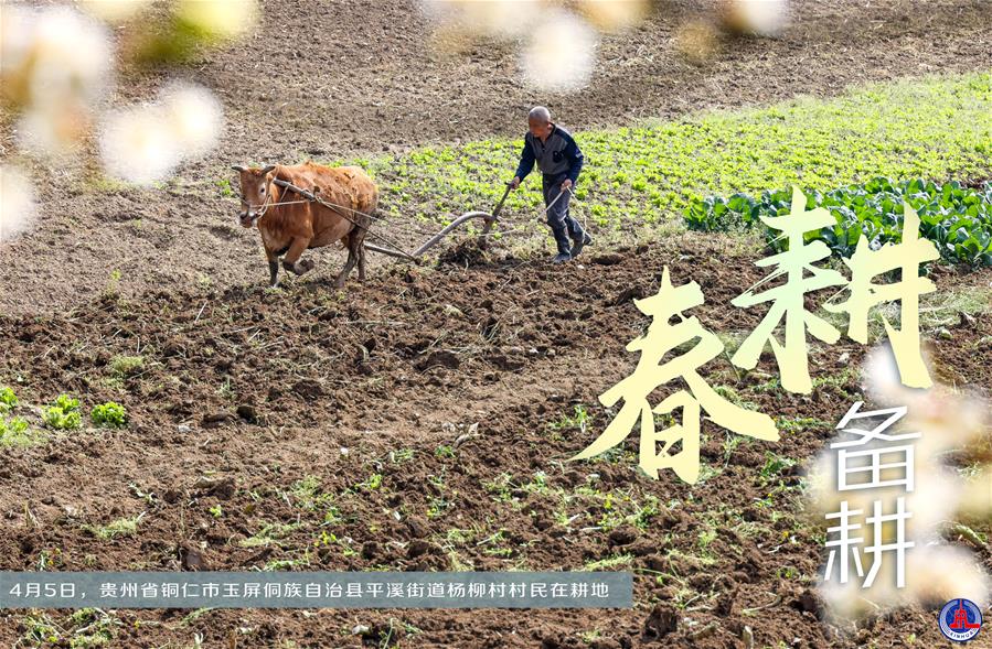 （图表&middot;海报）［新华全媒+］春耕备耕 不误农时（3）