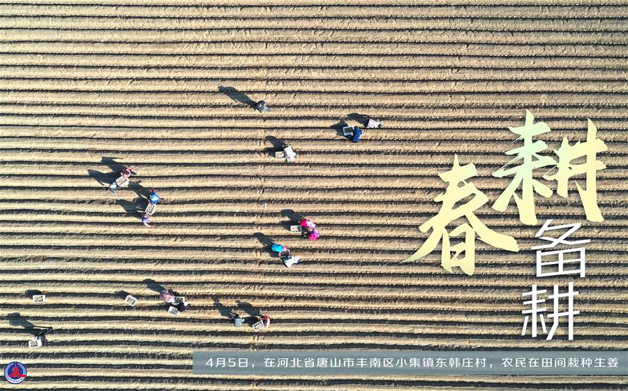 （图表&middot;海报）［新华全媒+］春耕备耕 不误农时（4）