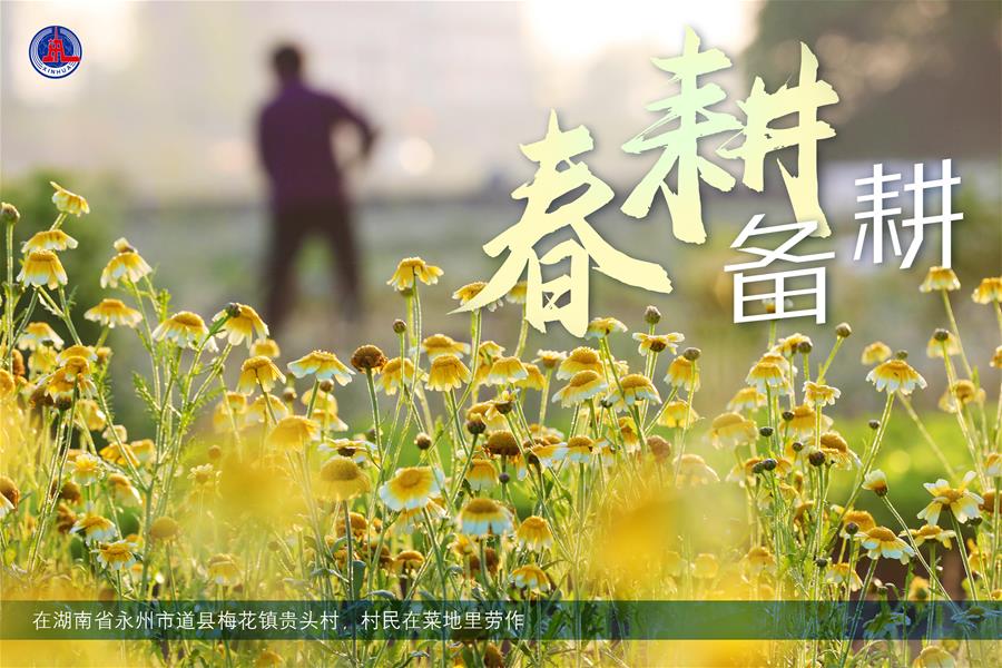 （图表&middot;海报）［新华全媒+］春耕备耕 不误农时（2）