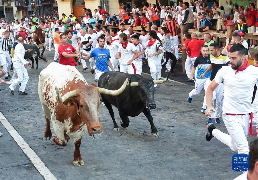 （国际·一周看天下）西班牙举行奔牛节