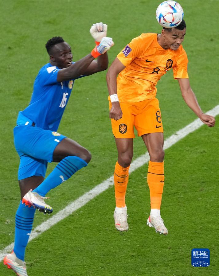  （卡塔尔世界杯）足球——A组：荷兰战胜塞内加尔
