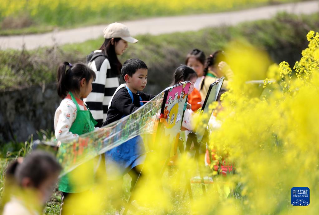 湖南资兴：油菜花田“画春天”