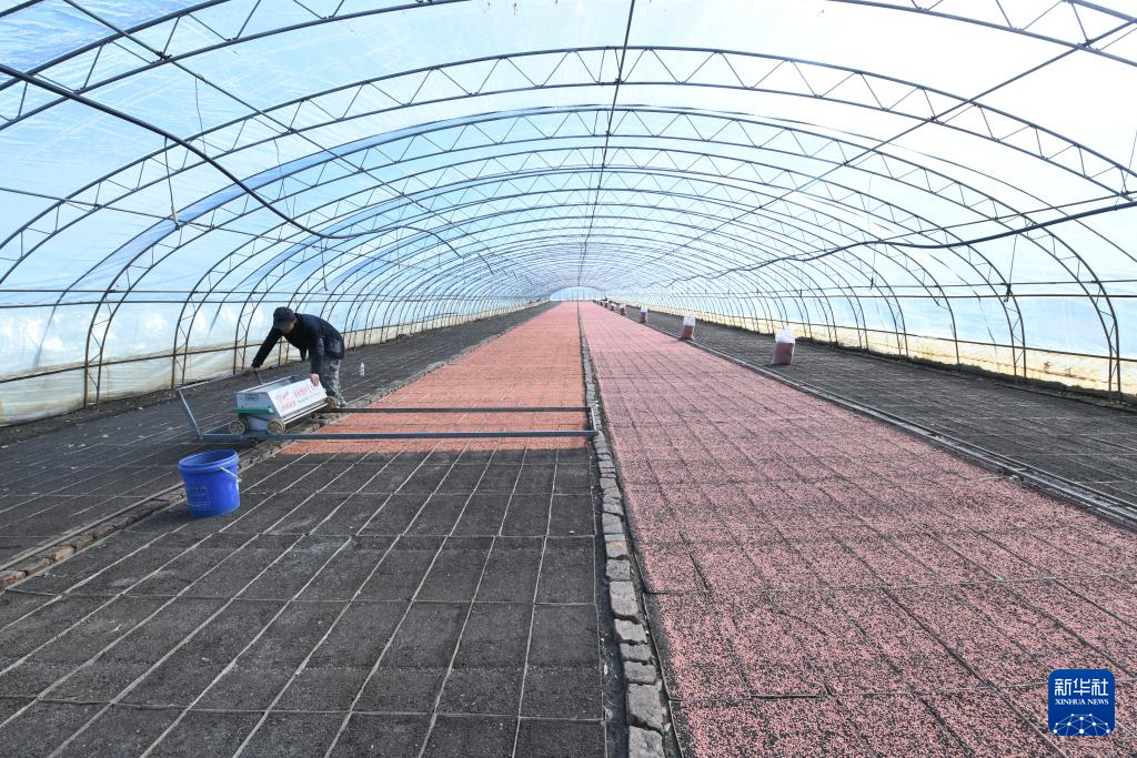 开播！“大粮仓”黑龙江春播生产拉开序幕