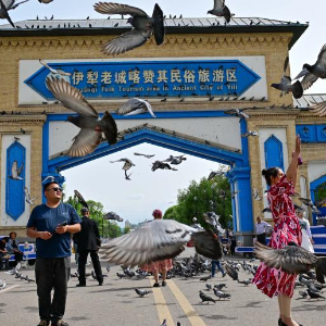 新疆伊宁：旅游市场持续升温-在伊