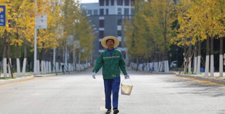 励志！高校里园林工人的&ldquo;大学梦&rdquo;