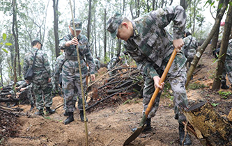 解放军驻澳门部队参加绿化植树活动