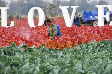 泸州：开辟绿色通道，加快畜禽养殖项目环评审批