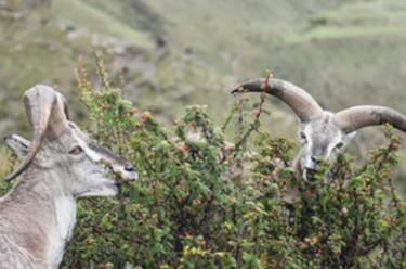 眉山市生态环境局开展主题教育专题辅导