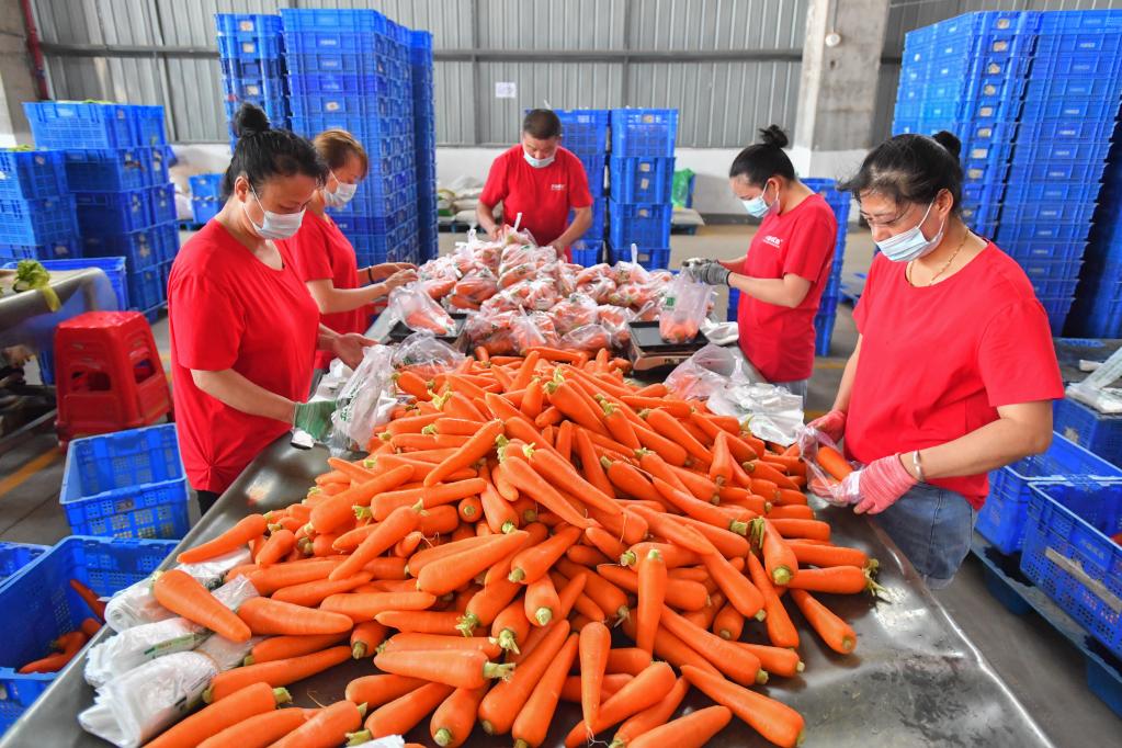 保障&ldquo;菜篮子&rdquo;货足价稳