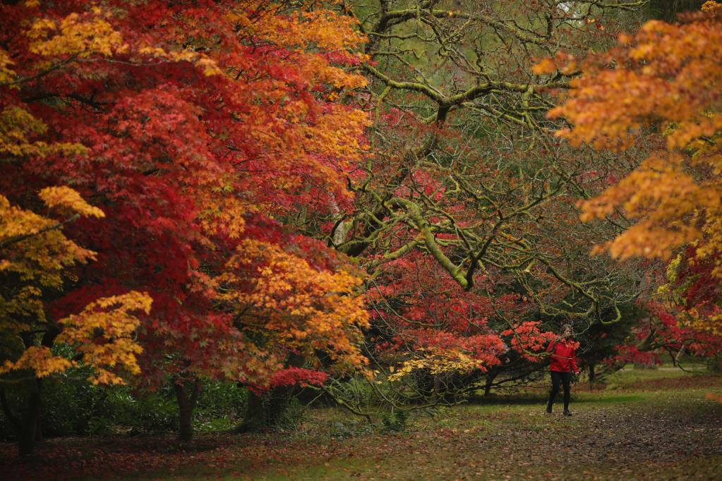 英国：赏秋