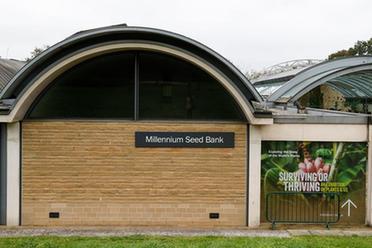 探访英国的千年种子库