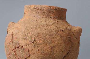 8000年前的裴李岗人已用红曲霉酿酒