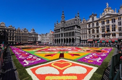 比利时布鲁塞尔举行第22届“鲜花地毯”节