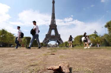 法国正经历史上最严重干旱