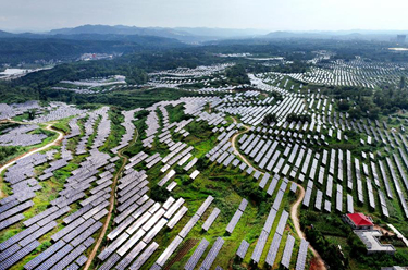陕西洛南：“光伏农场”点亮绿色经济
