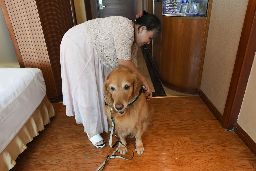 新华全媒+｜张莉和她的导盲犬的故事