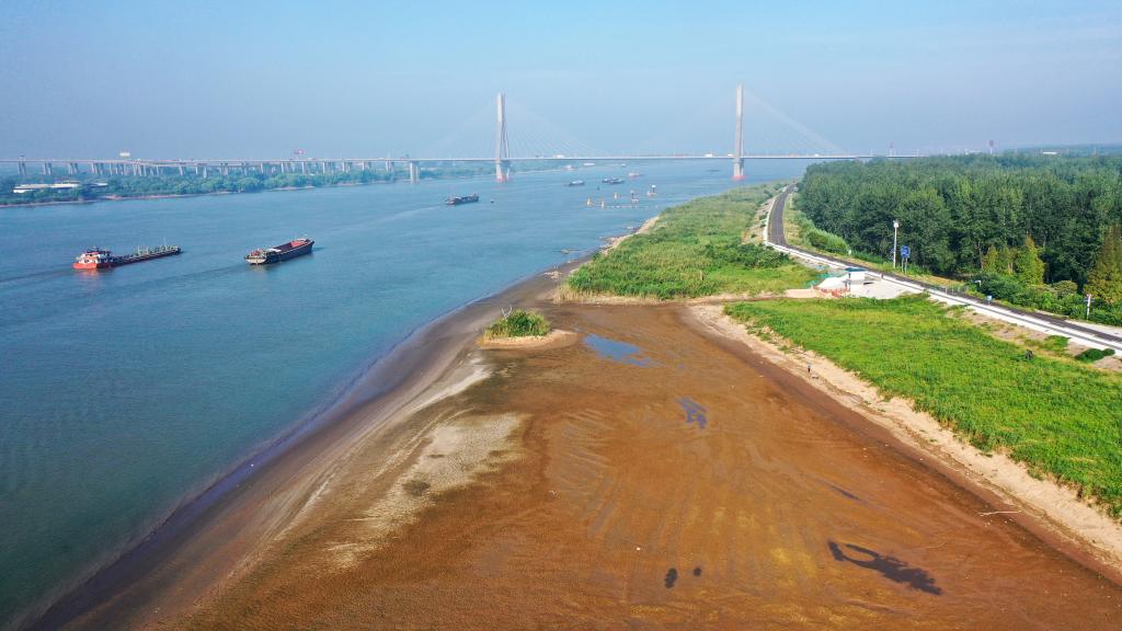 江苏扬州：长江水位下降