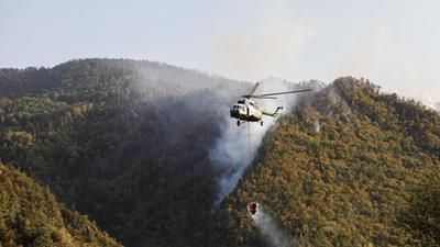 格鲁吉亚中部山火肆虐