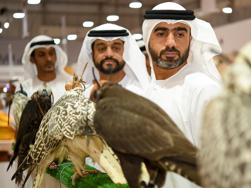 卡塔尔举办第六届国际狩猎和猎鹰展