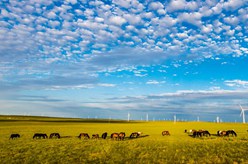 喜迎二十大丨内蒙古：奋力建设北疆亮丽风景线