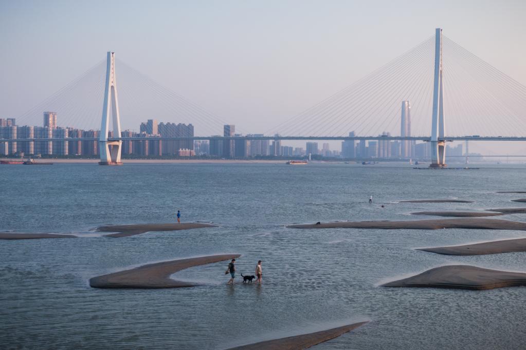 長江武漢段水位持續消退 大片灘涂露出江面