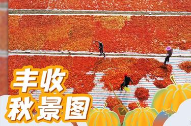 海报丨丰收秋景图