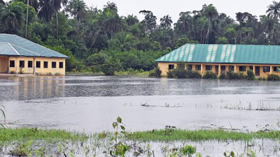 尼日利亚今年雨季洪灾造成超过500人死亡